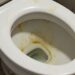 O truque caseiro para remover manchas amarelas do vaso sanitário com 2 ingredientes