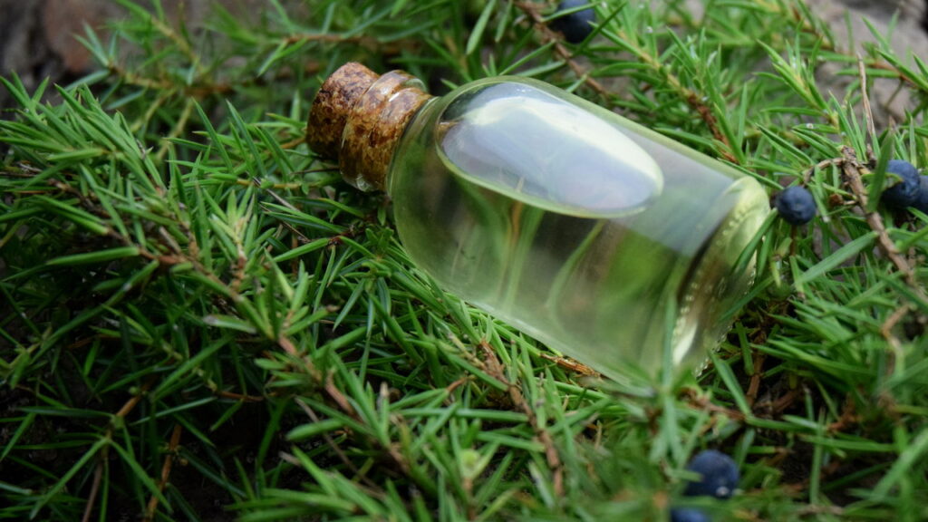 Como criar essências aromáticas com folhas para rituais de banho