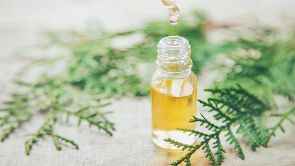 Como criar essências aromáticas com folhas para rituais de banho