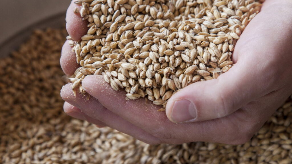 Método acessível que fortalece a saúde e previne infestações