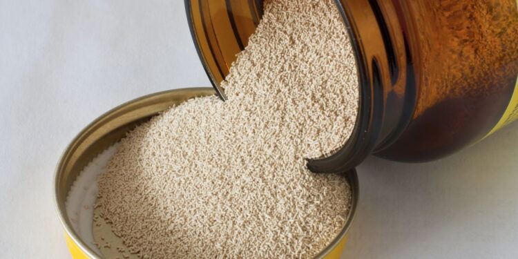 3 invenções acidentais que mudaram para sempre a forma de cozinhar