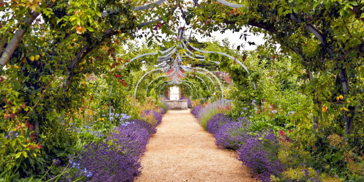 É assim que as flores sabem que é primavera