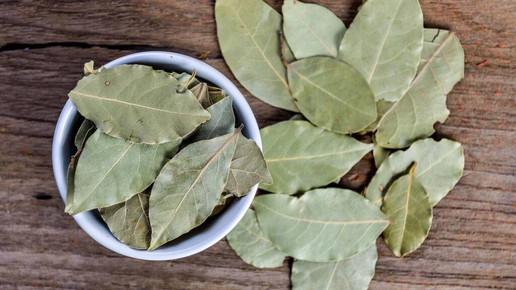 Essa planta tem afastado insetos de muitas casas