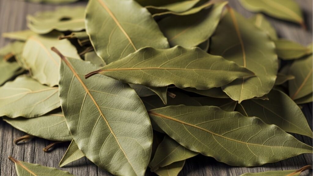 Nem spray anti-mofo, nem químico caro: esse truque evita manchas no guarda-roupa