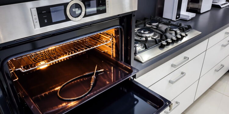 O que fazer quando aparecem formigas dentro do forno elétrico?