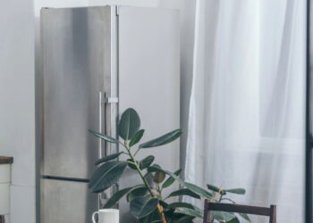 Esse truque simples pode acabar com os mosquitinhos da sua geladeira