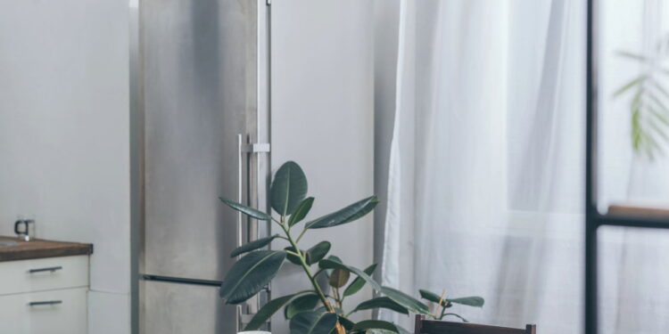 Esse truque simples pode acabar com os mosquitinhos da sua geladeira