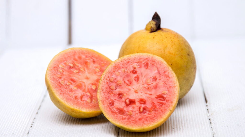 Essas frutas atraem pássaros e deixam o jardim cheio de vida