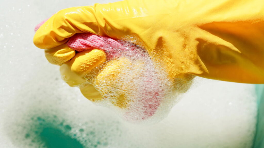 Essa mistura simples está deixando casas livres de baratas