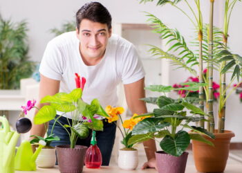 Como a prática de hobbies criativos nutre a identidade pessoal segundo a psicologia