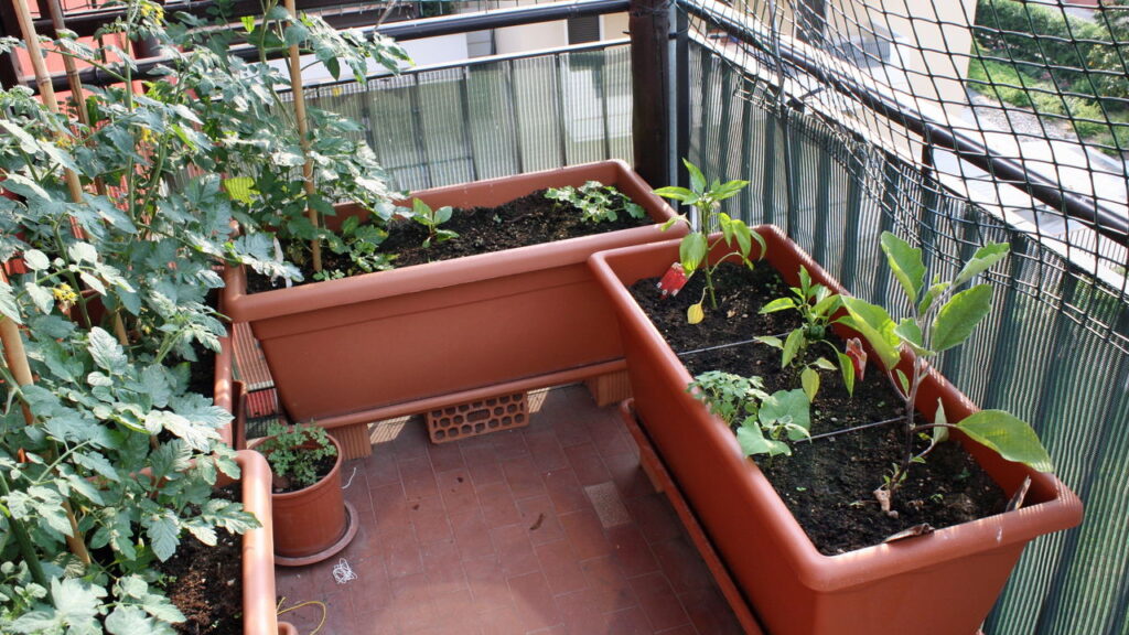 Como preparar o solo da varanda para plantar temperos