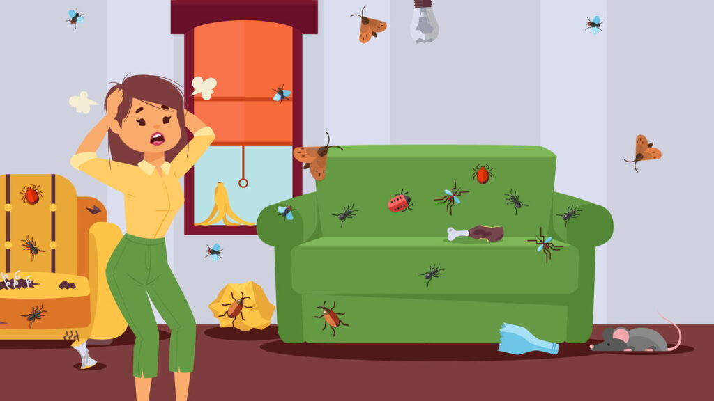 Cuidados simples que evitam cupins e brocas em móveis de madeira