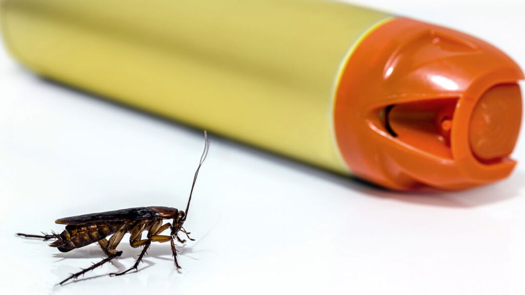 Formas práticas e eficazes de manter insetos longe no verão sem venenos químicos, usando soluções naturais, limpeza e barreiras físicas