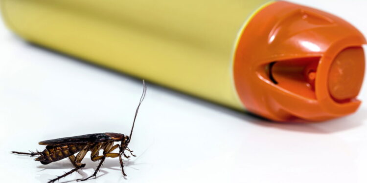 Como eliminar insetos no banheiro sem usar produtos químicos