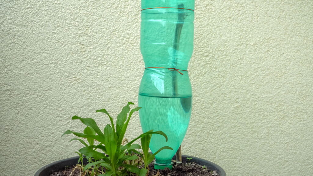 Nem regador, nem mangueira: o jeito mais prático de manter suas plantas hidratadas