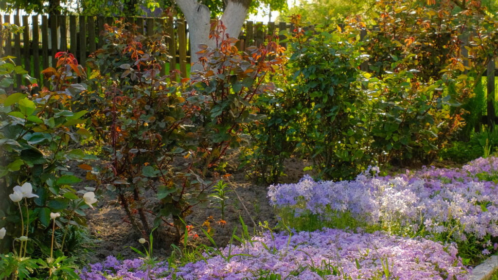 O estilo de jardim ideal para cada signo