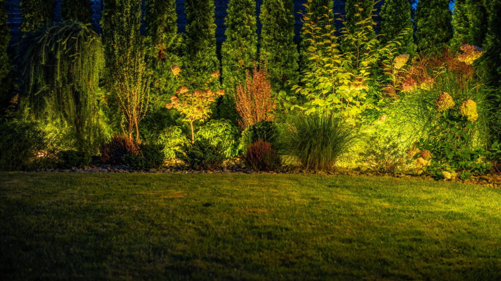 A planta que dizem espantar sapos, mas a verdade vai te surpreender