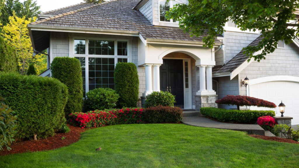 Transforme seu quintal em um refúgio livre de vespas com essas dicas