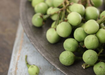Essa planta comum no Brasil pode ajudar seu fígado e você não sabia