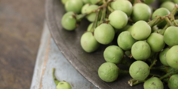 Essa planta comum no Brasil pode ajudar seu fígado e você não sabia