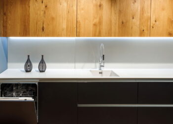 Lava-louças se torna aliada da higiene ao esterilizar mais do que pratos