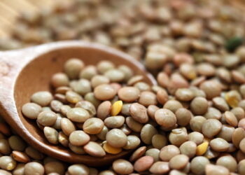 Dez vezes melhor do que ferver: preparadas desta forma, as lentilhas ganham um gosto irresistível