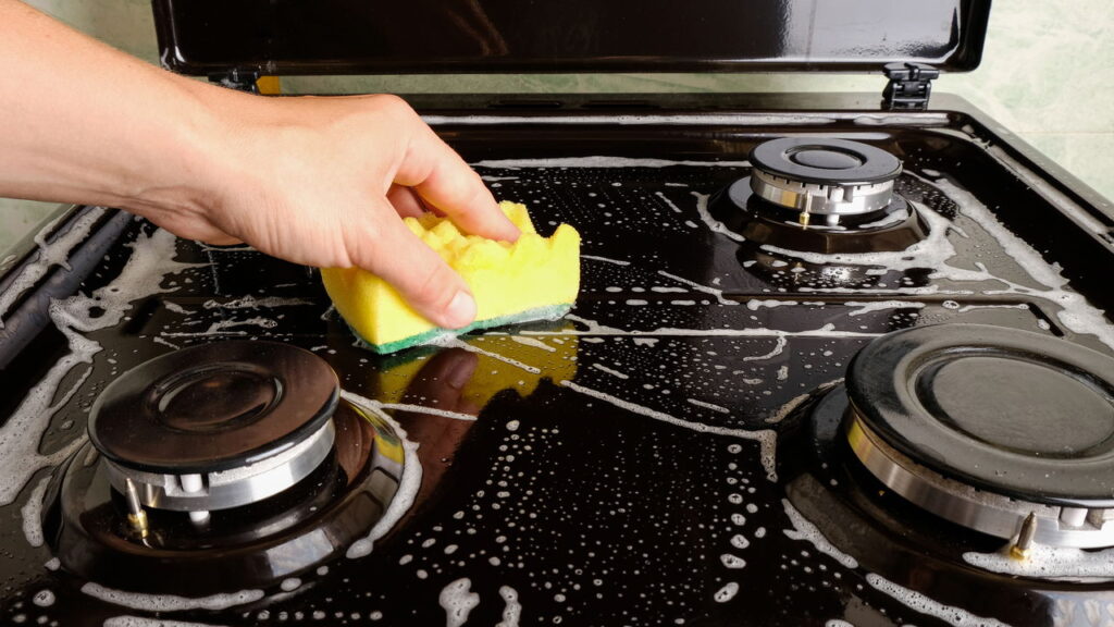 O que está atraindo formigas para o seu fogão sem você perceber