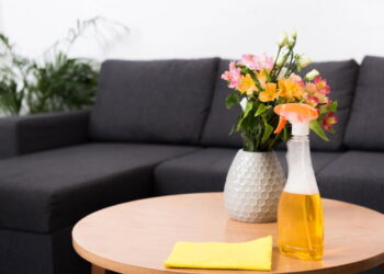 Nem álcool, nem sabão: esse truque limpa sofá como mágica