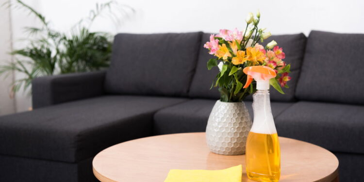 Nem álcool, nem sabão: esse truque limpa sofá como mágica