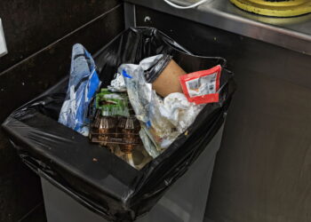 Como evitar moscas e larvas em lixeiras de resíduos orgânicos