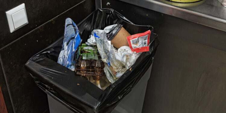 Como evitar moscas e larvas em lixeiras de resíduos orgânicos