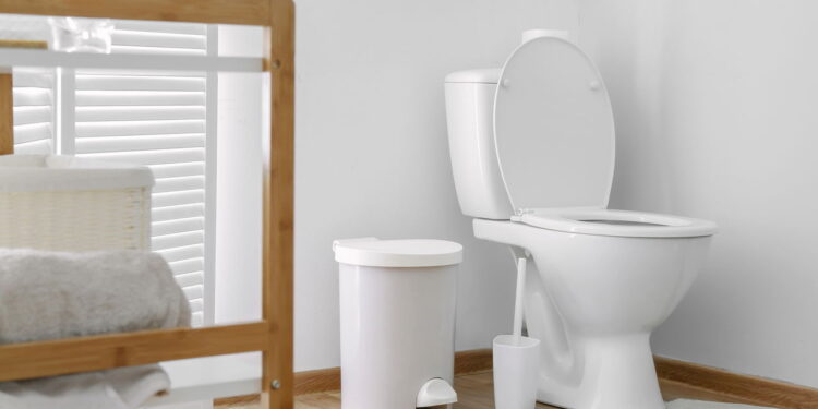 3 dicas infalíveis para o lixo do banheiro não ficar com mau cheiro
