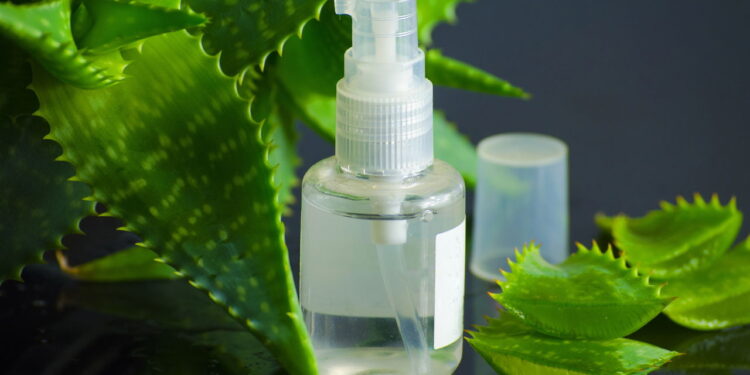 Como fazer loções corporais com plantas que hidratam e nutrem