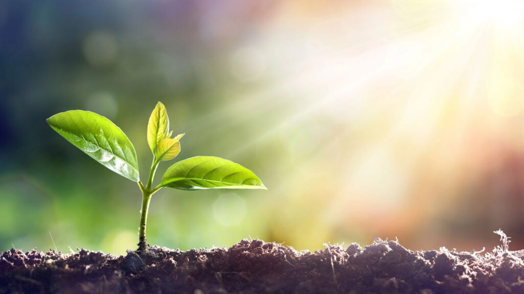 Esses 3 nomes têm algo que sugere criatividade, segundo psicólogos