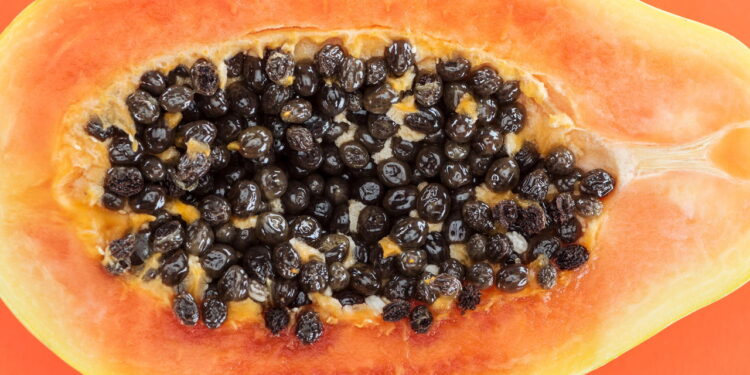 Quantas sementes de mamão devo comer para regenerar meu fígado?