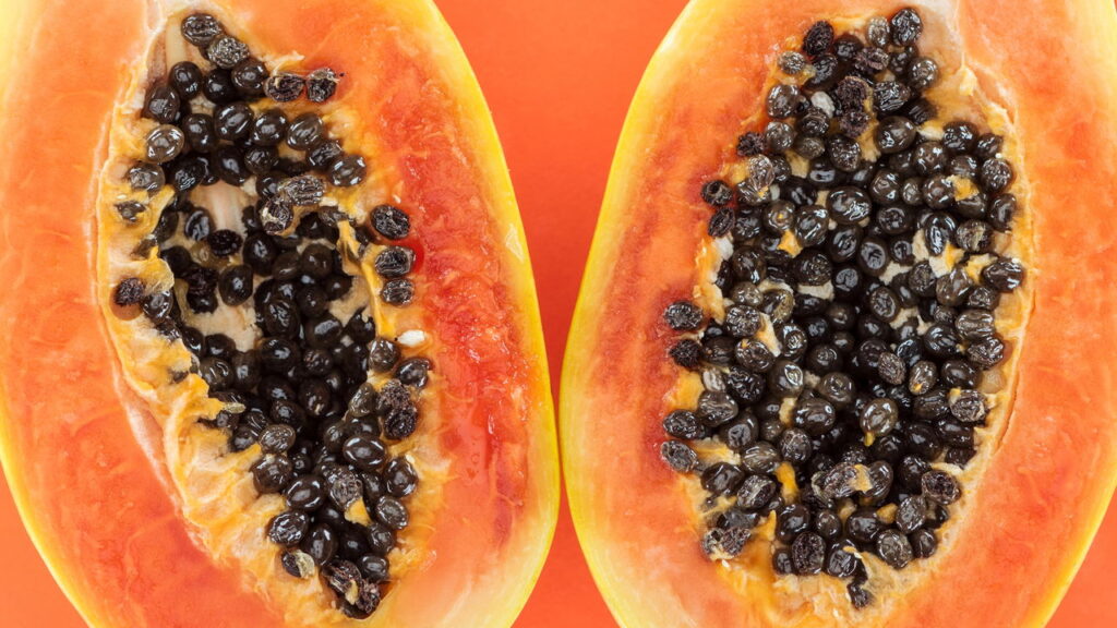 Quantas sementes de mamão devo comer para regenerar meu fígado?