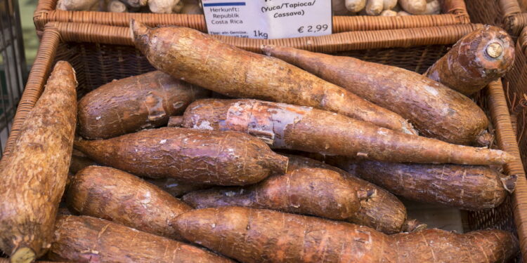 Como guardar mandioca macia e pronta para sopas cremosas