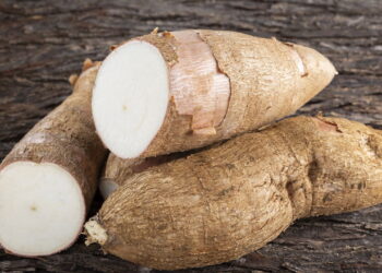 Dicas para conservar mandioca e evitar que escureça rapidamente
