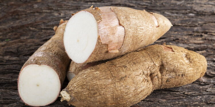 Dicas para conservar mandioca e evitar que escureça rapidamente