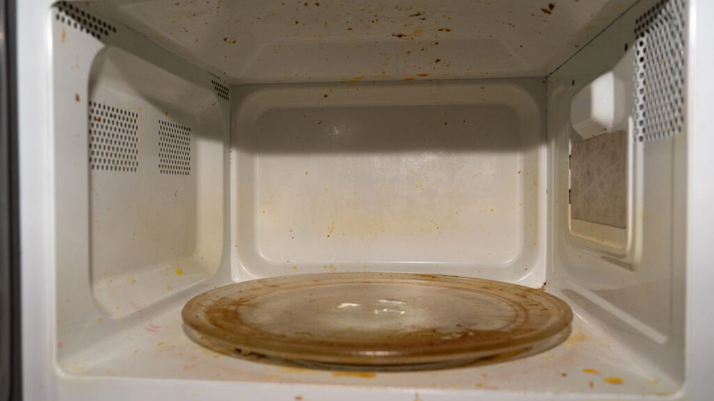 Como eliminar o cheiro que atrai moscas no micro-ondas