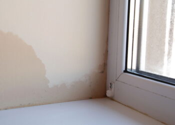 Um truque alemão para remover permanentemente manchas de umidade e mofo das paredes