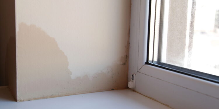 Um truque alemão para remover permanentemente manchas de umidade e mofo das paredes