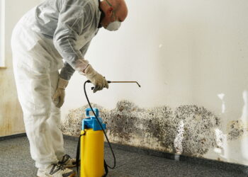 Essa solução natural elimina o mofo sem usar água sanitária