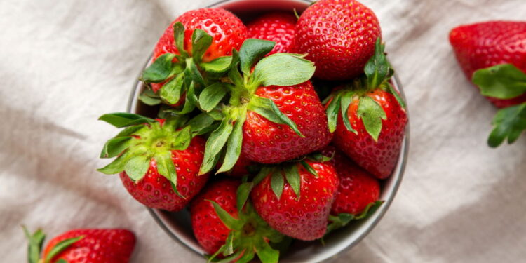 Como conservar morangos por mais de 10 dias na geladeira