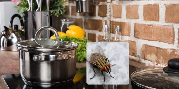 É o fim das moscas e mosquitos na cozinha, bastam algumas gotas deste produtos e um pouco de vinagre