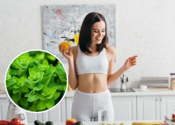 Você nunca imaginou que esse tempero poderia fazer tanto pelo seu corpo
