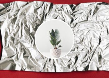 Colocar papel alumínio no vaso pode salvar suas plantas