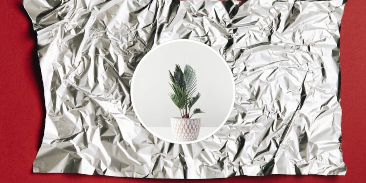 Colocar papel alumínio no vaso pode salvar suas plantas