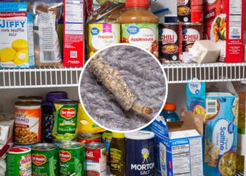 Aroma intenso criando barreira natural contra traças em armários