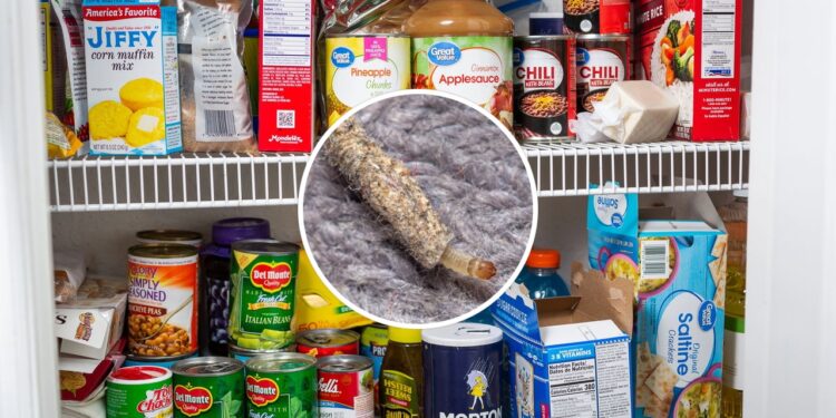 Aroma intenso criando barreira natural contra traças em armários